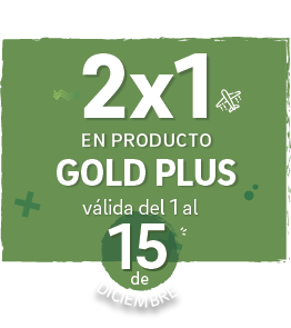 2x1 Gold Plus 